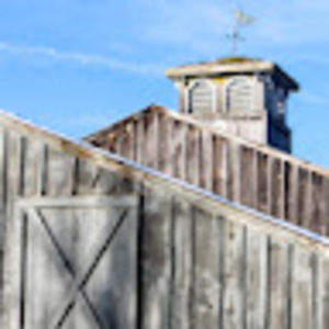 Meet your Posher, Brady